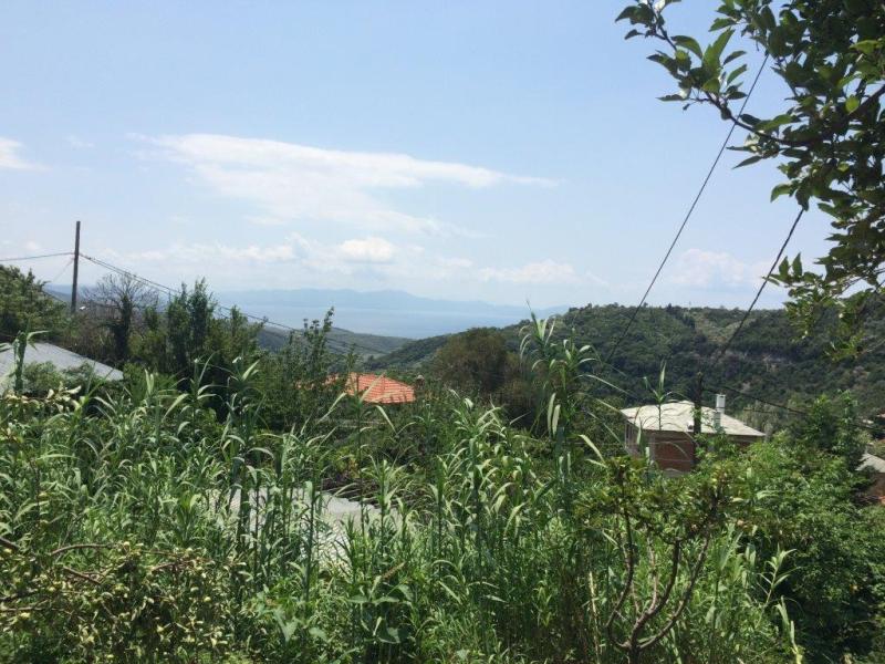 Heart of Milies sea view affordable land  - Property Pelion